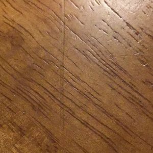 Meet your Posher, Lara